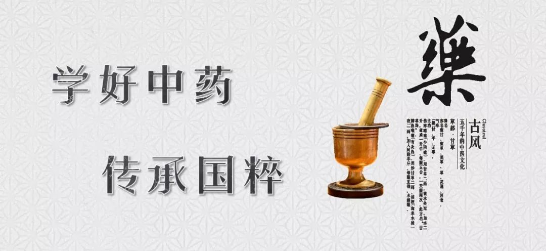 A Comprehensive Guide to Atractylodes (Cang Zhu)