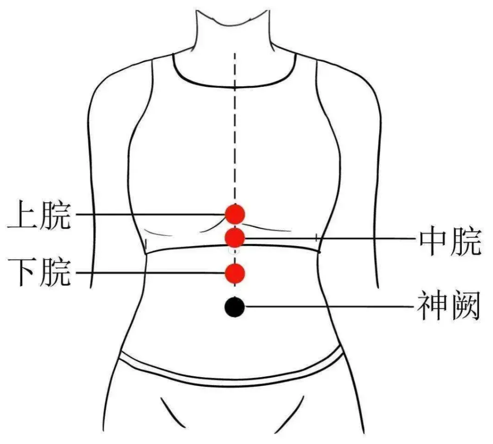 How to Ensure the Balance of Yin and Yang in the Body? Eight Tips from Traditional Chinese Medicine!