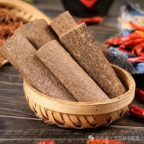 Exploring Cinnamon: Understanding Its Varieties and Uses in TCM