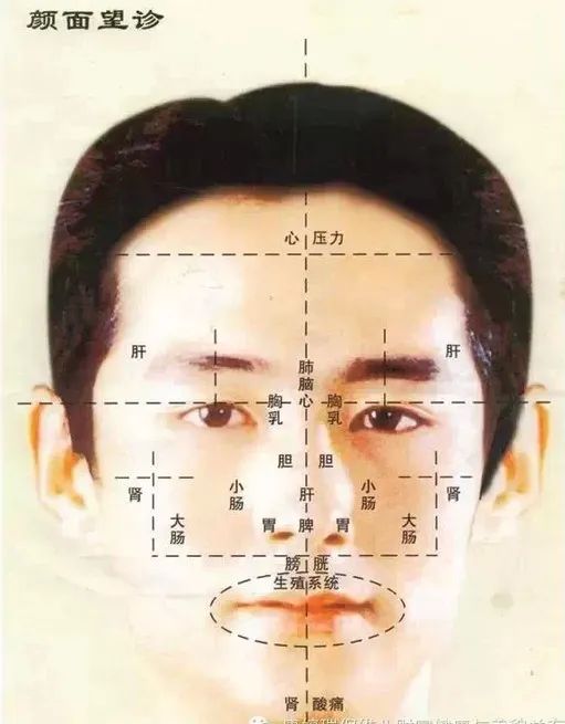 Comprehensive Guide to Facial Diagnosis in Traditional Chinese Medicine (With Images and Explanations)