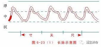 The Wonders of the Twenty-Eight Pulses in Traditional Chinese Medicine: Understanding Pulse Diagnosis (Part 1)