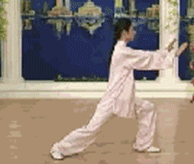 Comprehensive Guide to Tai Chi Movements: Exercise at Home!
