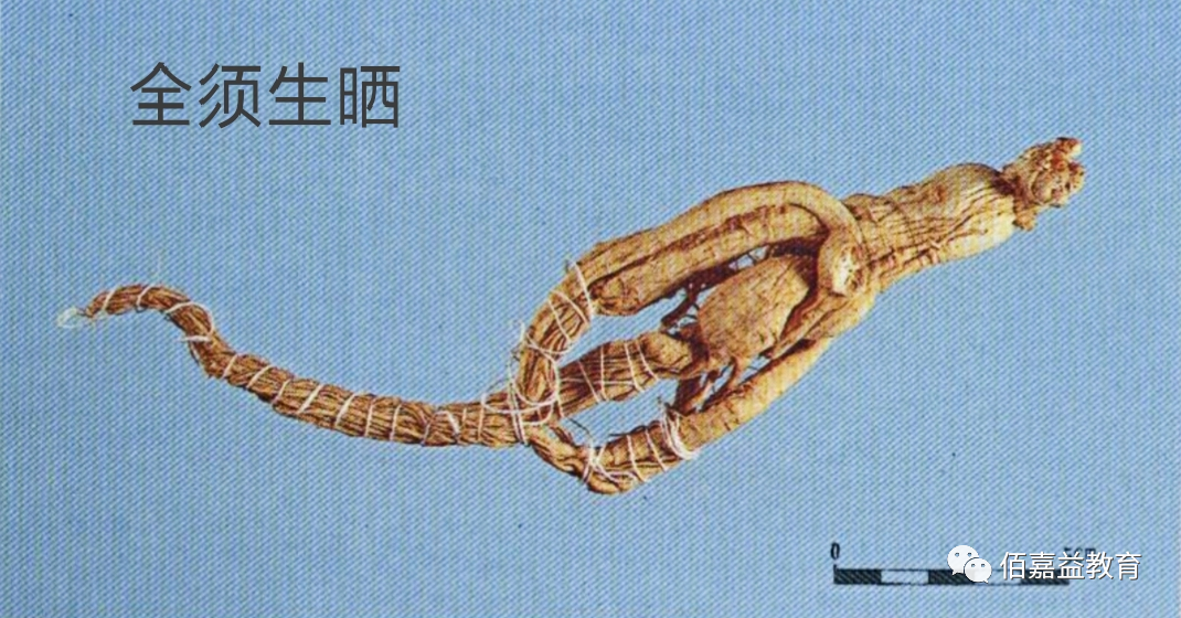 How to Distinguish Genuine from Fake Ginseng