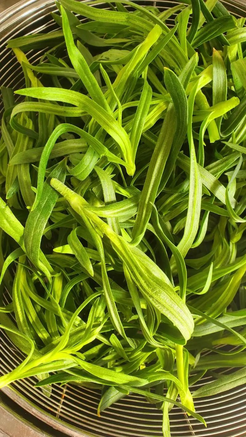 Spring Delights: 3 Vegetables to Boost Digestion, Protect Eyes, and Eliminate Damp Heat