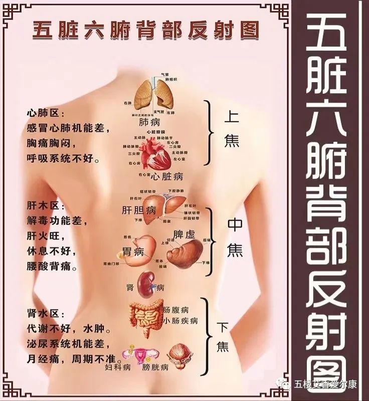 Summary of Common Diseases and Gua Sha Treatment Plans Including Human Reflex Maps, Contraindications, and Diagnosis of Sha Patterns