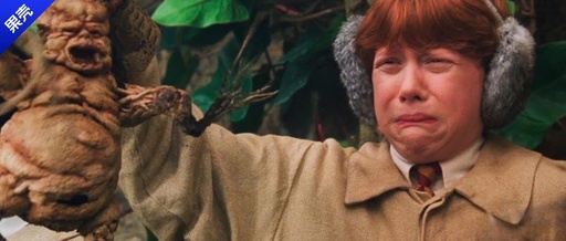 The Roots of Human-Like Plants: Not Just Ginseng, but Also the Old Poisonous Ones
