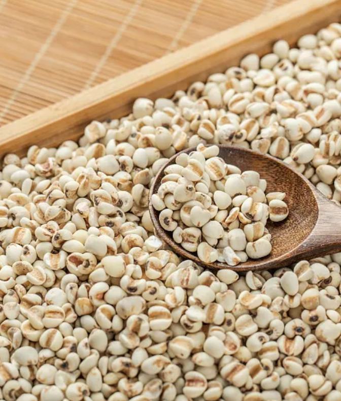 The Efficacy and Usage of Coix Seed (Yi Yi Ren)