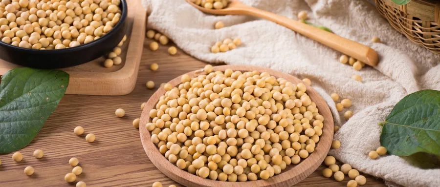 Dietary Therapy Methods for Common Ailments