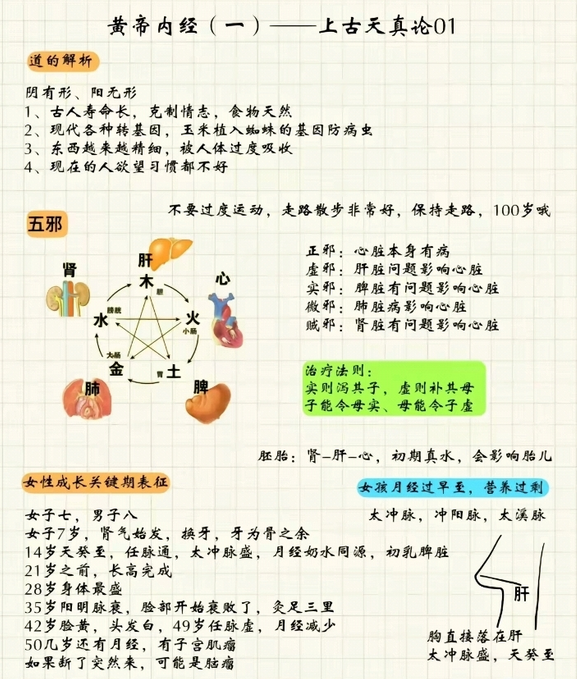 Mind Map of the Huangdi Neijing (Essential Content)