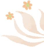 Winter Health Preservation: TCM Dietary Therapy for Nourishment