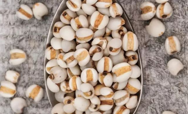 The Efficacy and Functions of Yi Yi Ren (Coix Seed): Promoting Diuresis, Resolving Dampness, Strengthening the Spleen, and Stopping Diarrhea