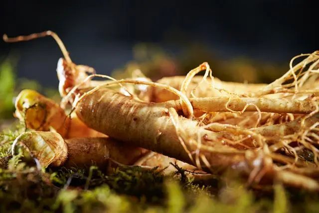 The Effects and Functions of Ginseng: Can It Be Consumed Regularly?