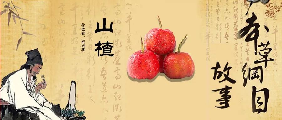 Traditional Chinese Medicine | The Story of Hawthorn and Its Digestive Benefits