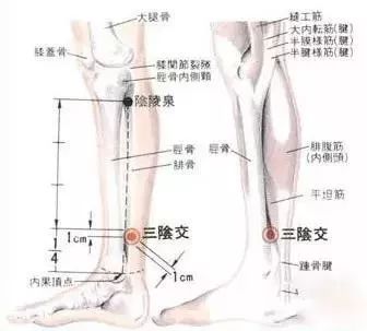 Four Methods to Eliminate Dampness and Comparison of 18 Medicinal Formulas (Including Acupuncture and Massage Techniques)