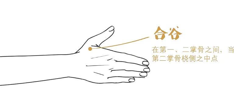 Regularly Press These Acupuncture Points for Sufficient Qi and Blood, Balancing Yin and Yang!