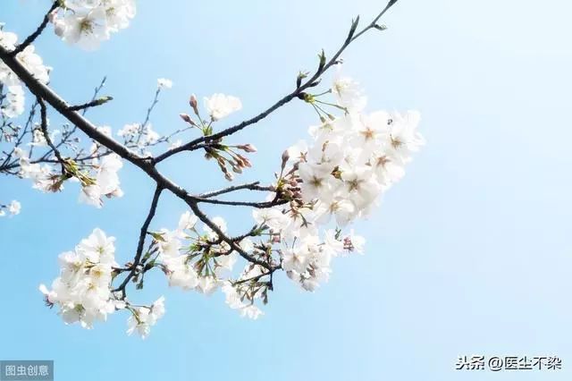 Liver Qi Stagnation: Solutions for Constipation, Insomnia, Sensation of a Foreign Body in the Throat, Abdominal Distension, and Vivid Dreams