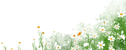 Standardizing the Prevention and Treatment System for Exogenous Diseases in Traditional Chinese Medicine: Strengthening Clinical Fundamentals