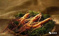 The Effects and Functions of Ginseng; How to Consume Ginseng for Best Results and Its Dietary Contraindications
