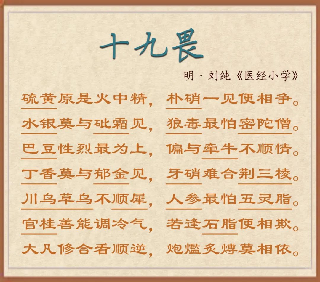 Cinnamon (Rou Gui): Nourishing Fire and Supporting Yang to Warm the Heart and Spleen