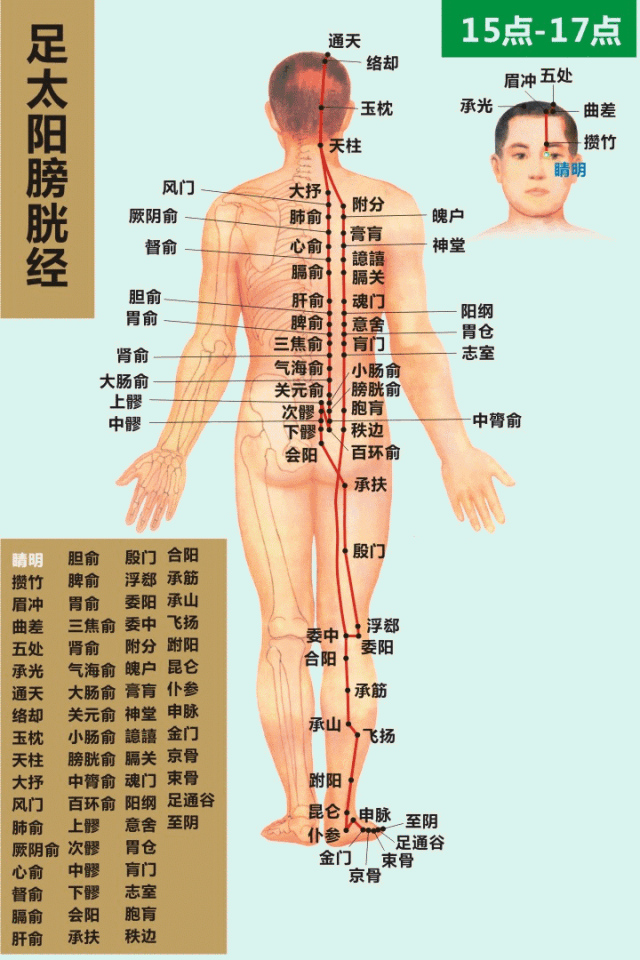 Introduction to the Foundations of Traditional Chinese Medicine: A Clear Overview of the Twelve Meridians Worth Keeping for Ten Years!