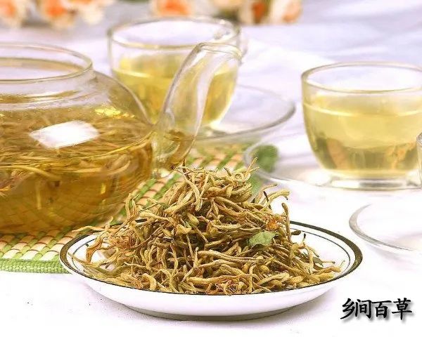The Efficacy, Uses, and Contraindications of Honeysuckle (Jin Yin Hua)