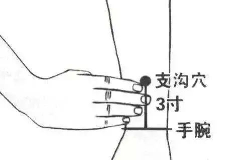 Nurturing Nine Types of Constitutions in Traditional Chinese Medicine
