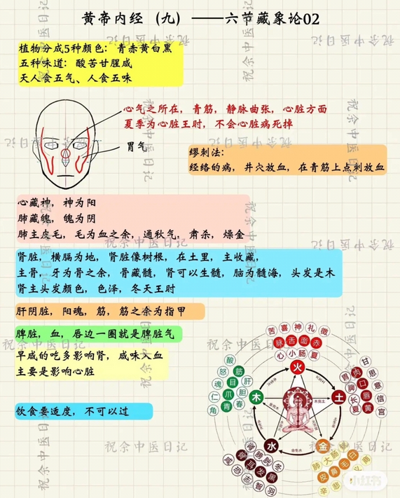 Mind Map of the Huangdi Neijing (Essential Content)