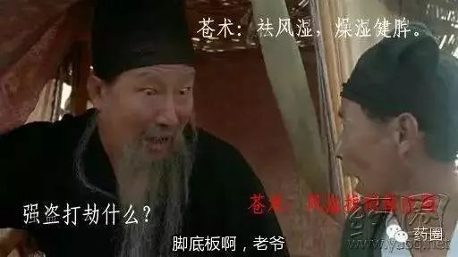 Learning About Traditional Chinese Medicine: Atractylodes (Cang Zhu)