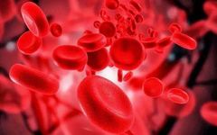 Symptoms of Blood Deficiency and How to Nourish It