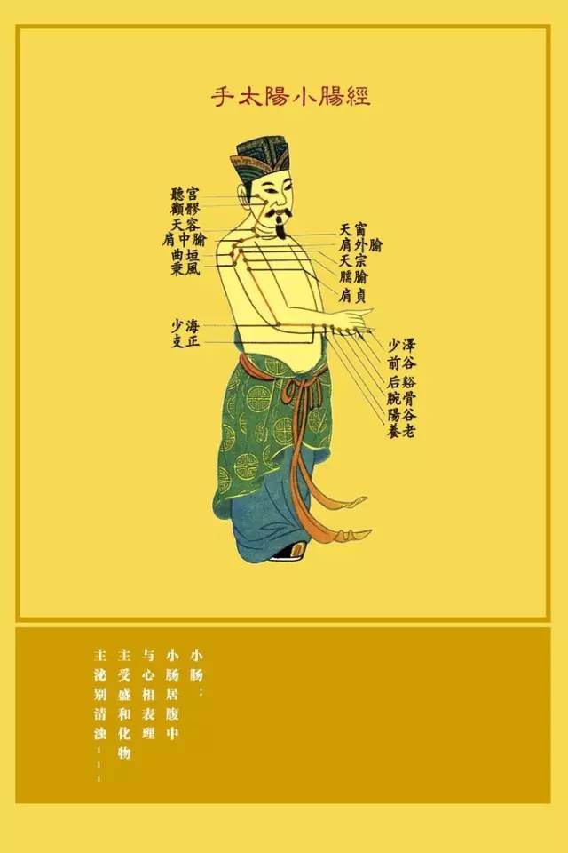 Understanding the Eight Extraordinary Meridians in Traditional Chinese Medicine