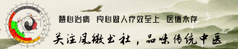 Understanding the Essence of Gāo Zī Formulas in Traditional Chinese Medicine