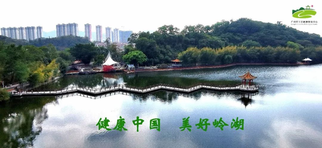 The Differences Between Fresh Ginger (Sheng Jiang) and Dried Ginger (Gan Jiang): How to Choose the Right One for You?