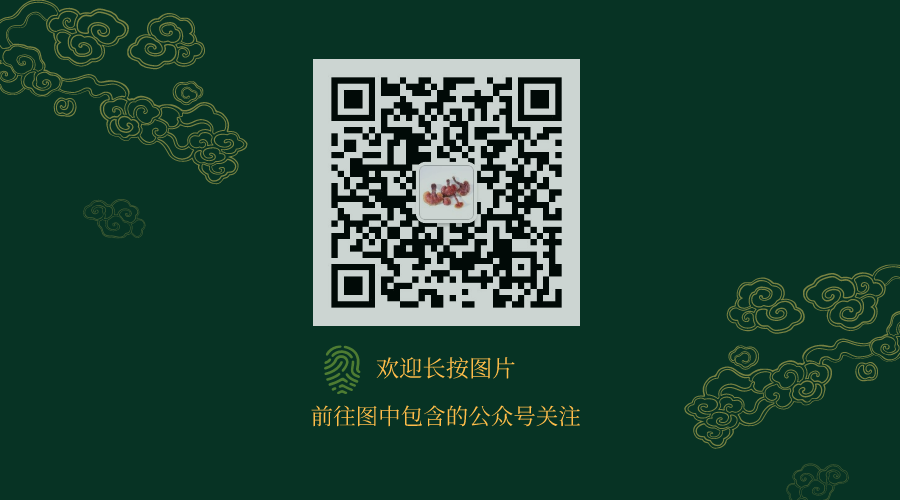 Herbal Antimicrobial Properties of Cang Zhu (Atractylodes)