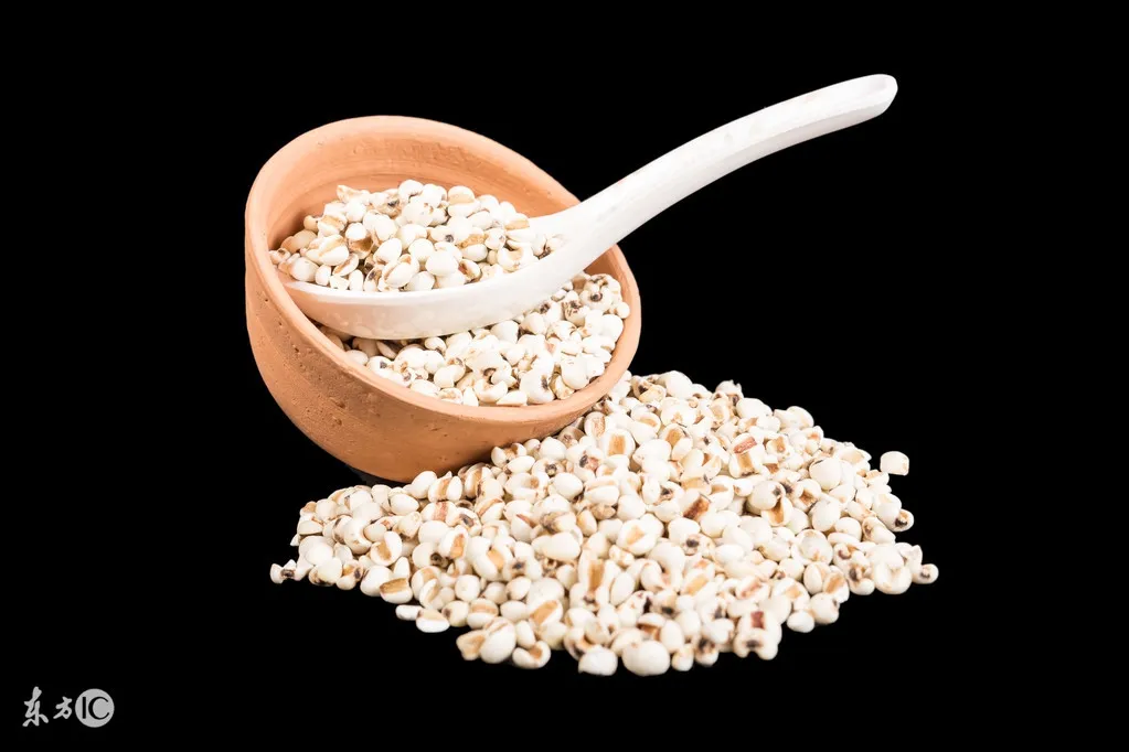 Traditional Chinese Medicine: The 5 Benefits and Effects of Coix Seed (Yi Yi Ren) and Its Side Effects