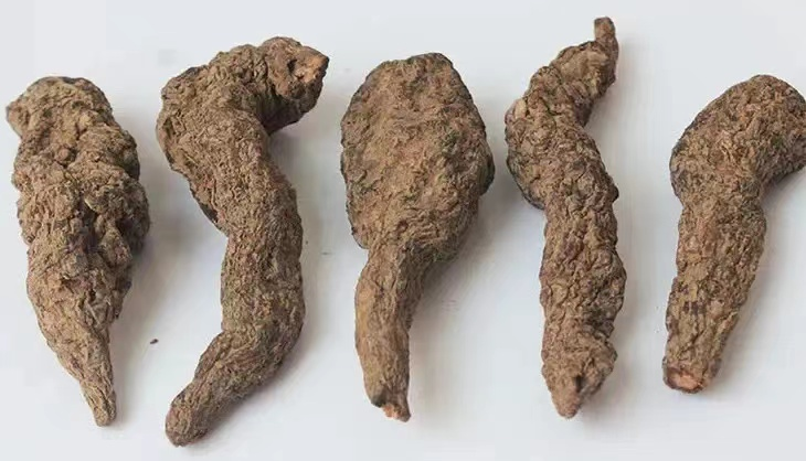 Essential Herb for Nourishing Yin and Strengthening the Kidneys