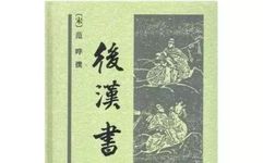 Understanding Coix Seed (Yi Yi Ren) in Traditional Chinese Medicine
