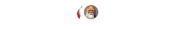 Essential Knowledge of Traditional Chinese Medicine You Must Understand