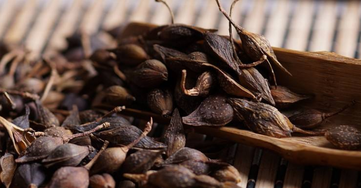 Understanding the Medicinal Properties of Lianqiao (Forsythia Suspensa)