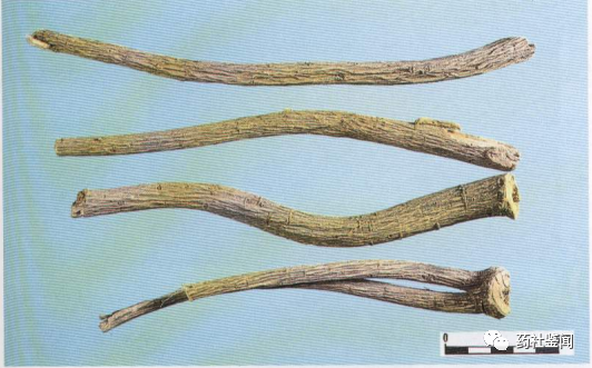Traditional Chinese Medicine - Huangqi (Astragalus Root)