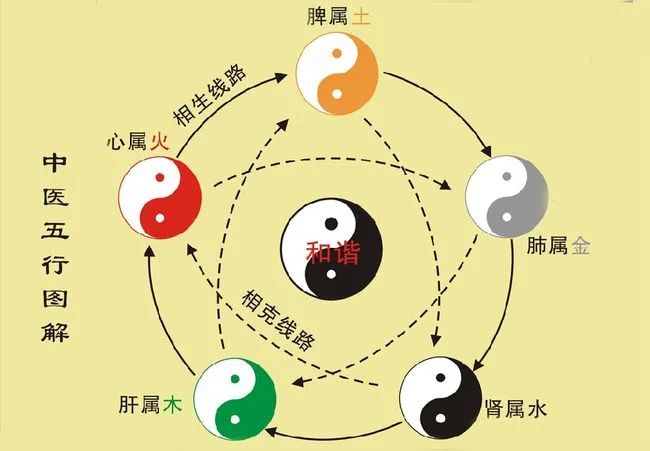 Philosophical Reflections on the Theory of Five Elements: Exploring the Philosophical Ideas and Concepts within the Five Elements Theory, such as Mutual Generation and Mutual Restraint, and the Balance of the Five Elements.