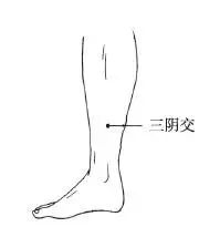No Need to Panic About Yin Deficiency Constitution, TCM Has Secret Remedies