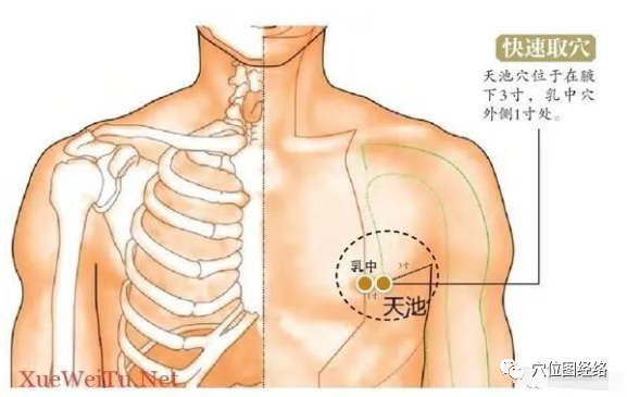 Guiding One Acupuncture Point for Deep Body Regulation
