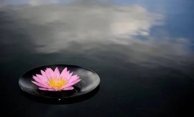 The Importance of Yin-Yang Balance in Feng Shui for Your Home