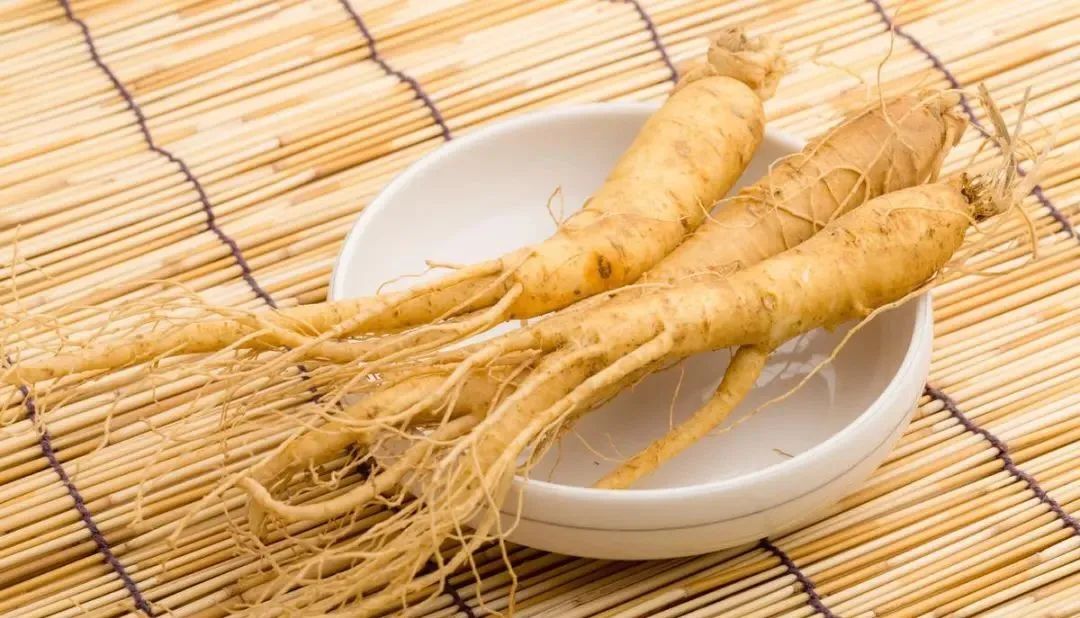 Five Recommended Methods to Consume Ginseng for Vitality and Health
