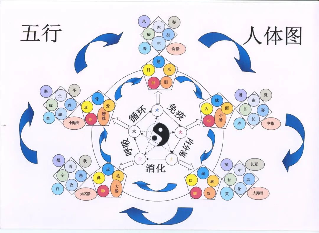 Comprehensive Guide to the Five Elements (Dozens of Five Elements You May Not Know)