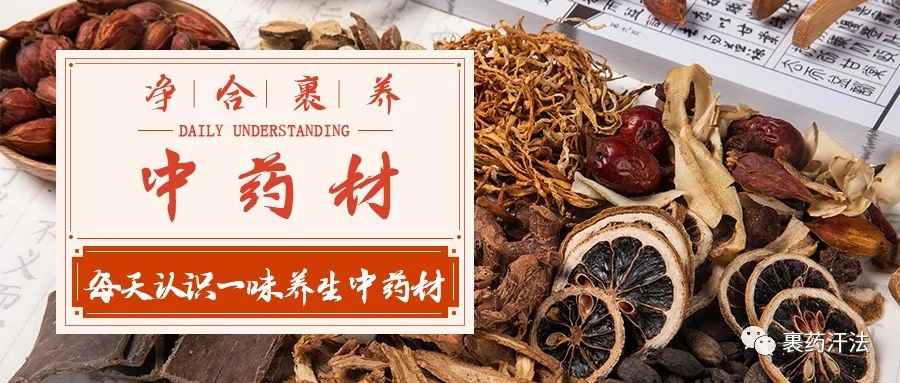 Understanding a Chinese Medicinal Herb: Rehmannia Glutinosa