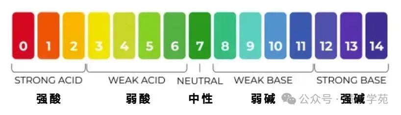 Unlocking the Secrets of Efficient Microbial Fermentation Processes in Traditional Chinese Medicine