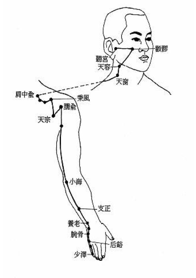 The Pathways and Interconnections of the Twelve Meridians