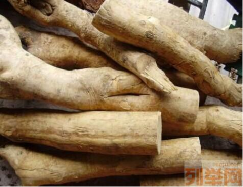 Understanding a Chinese Herbal Medicine Each Day: Ginseng