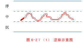 The Twenty-Eight Pulses and All Pulse Patterns in Traditional Chinese Medicine (Animated Illustrations)